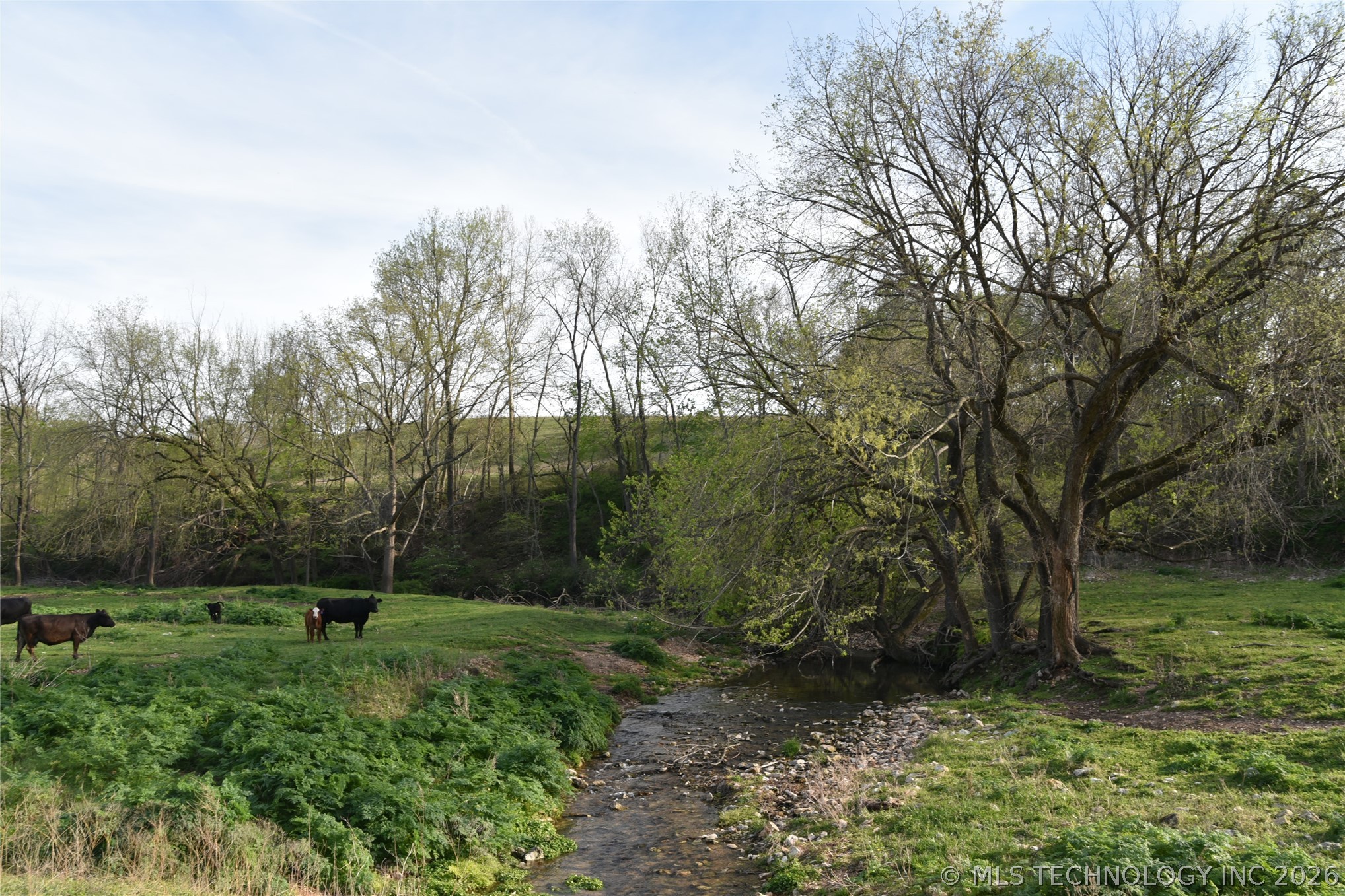 45507 S 660 Road Jay OK 74346