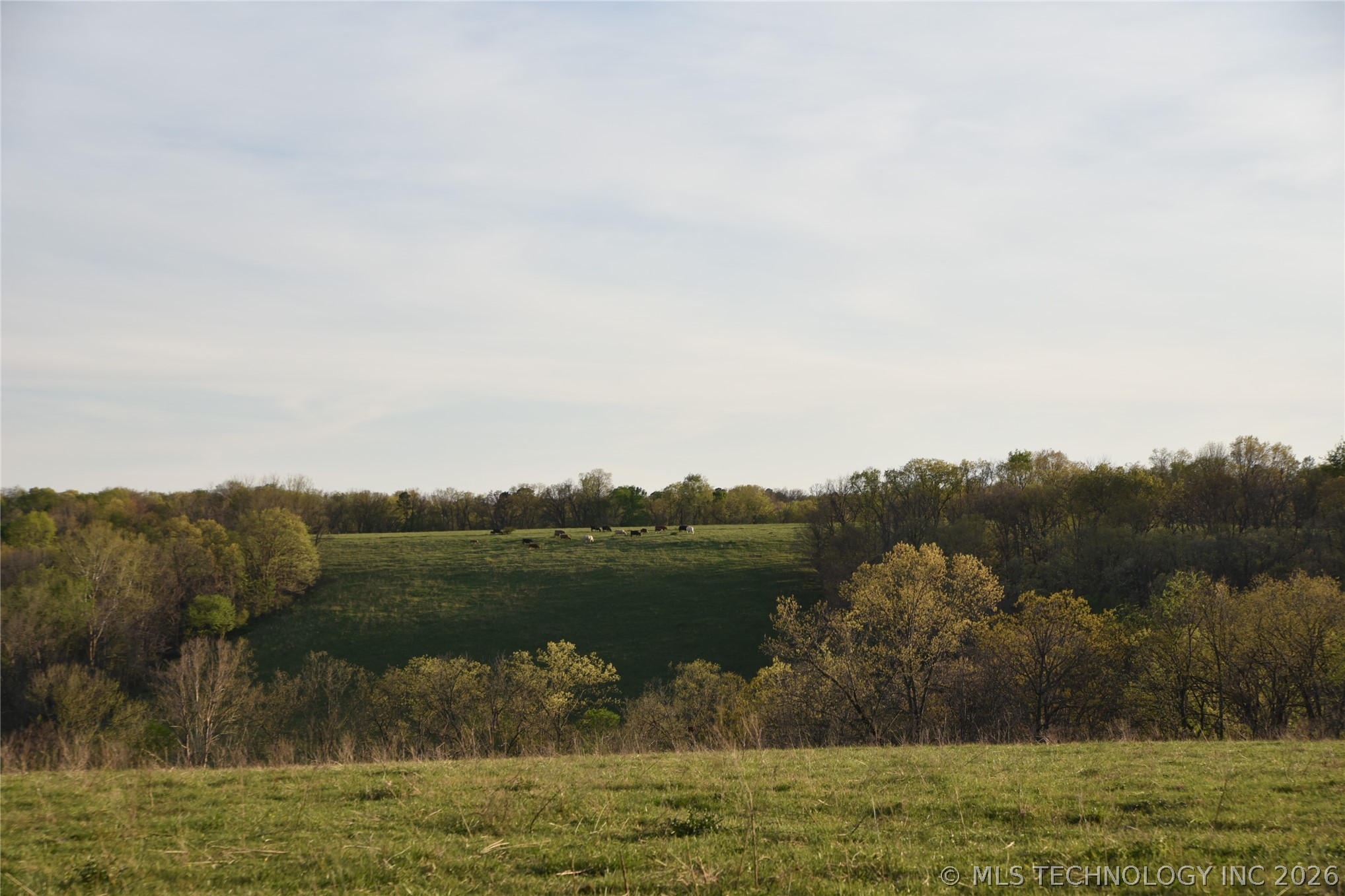 45507 S 660 Road Jay OK 74346