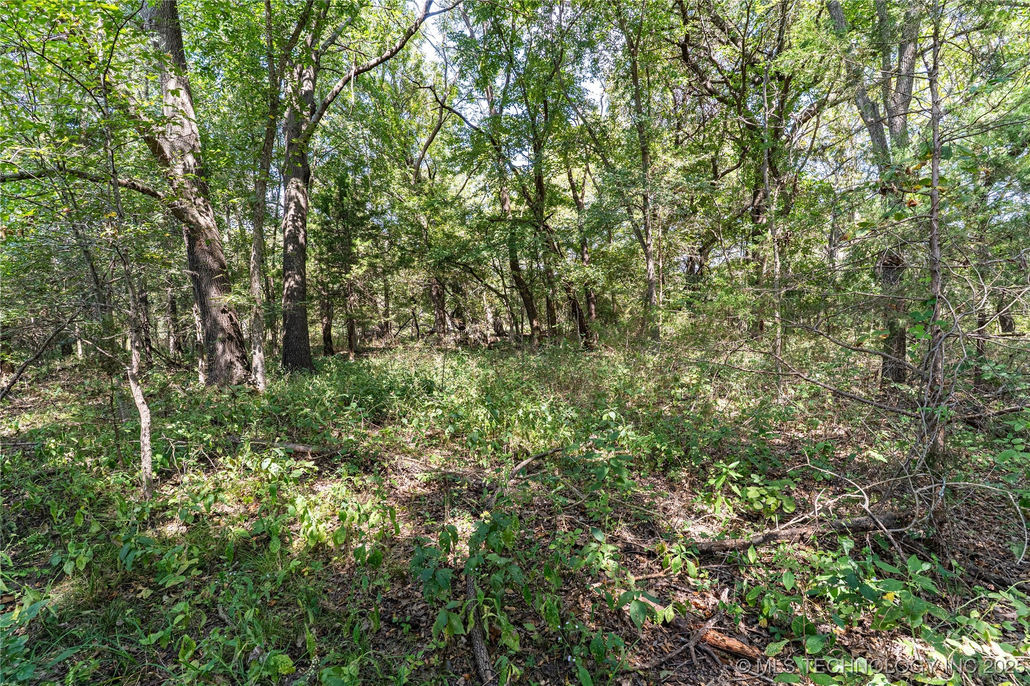 0000 E 1420 Road Sasakwa OK 74867