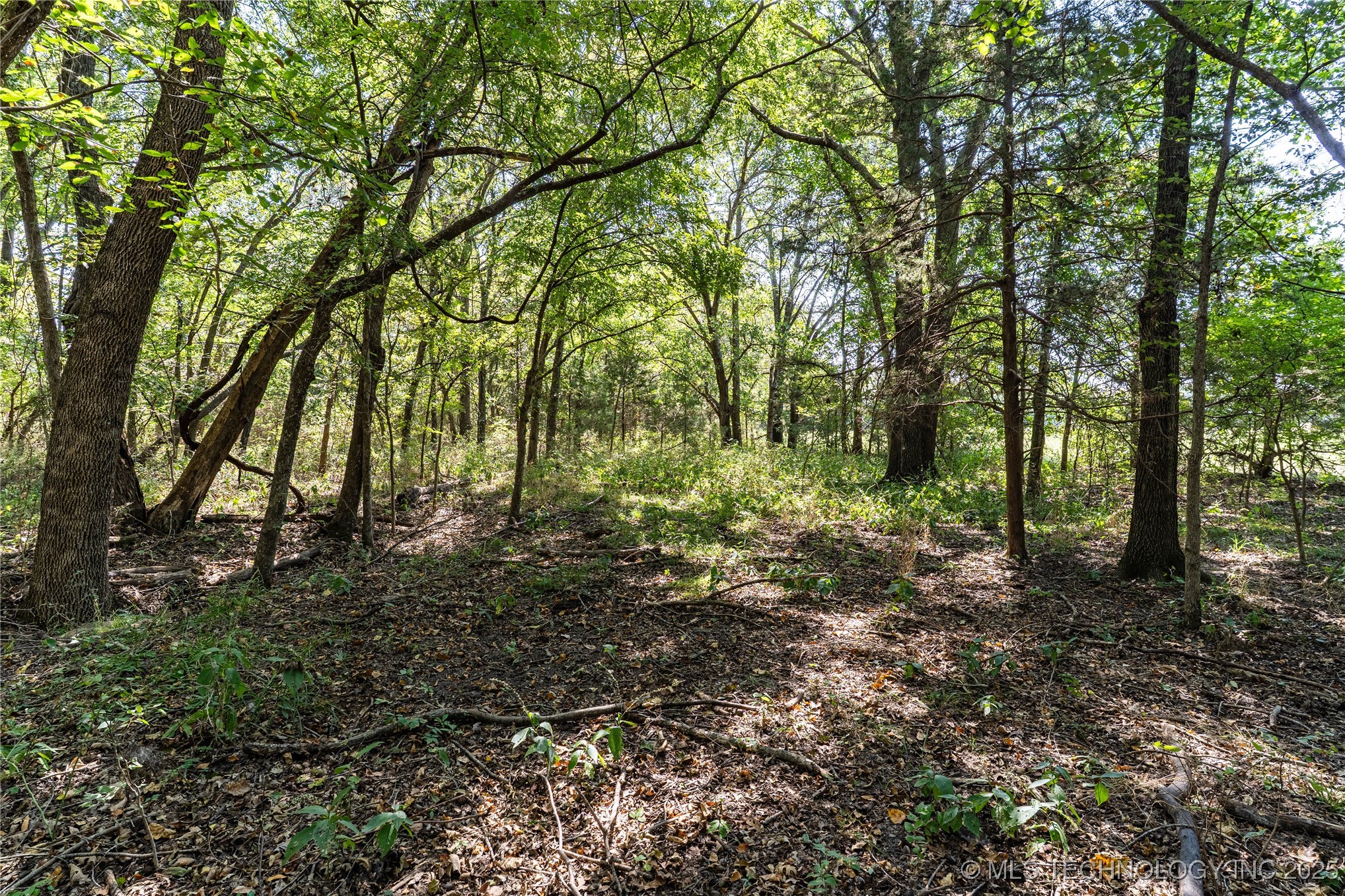 0000 E 1420 Road Sasakwa OK 74867