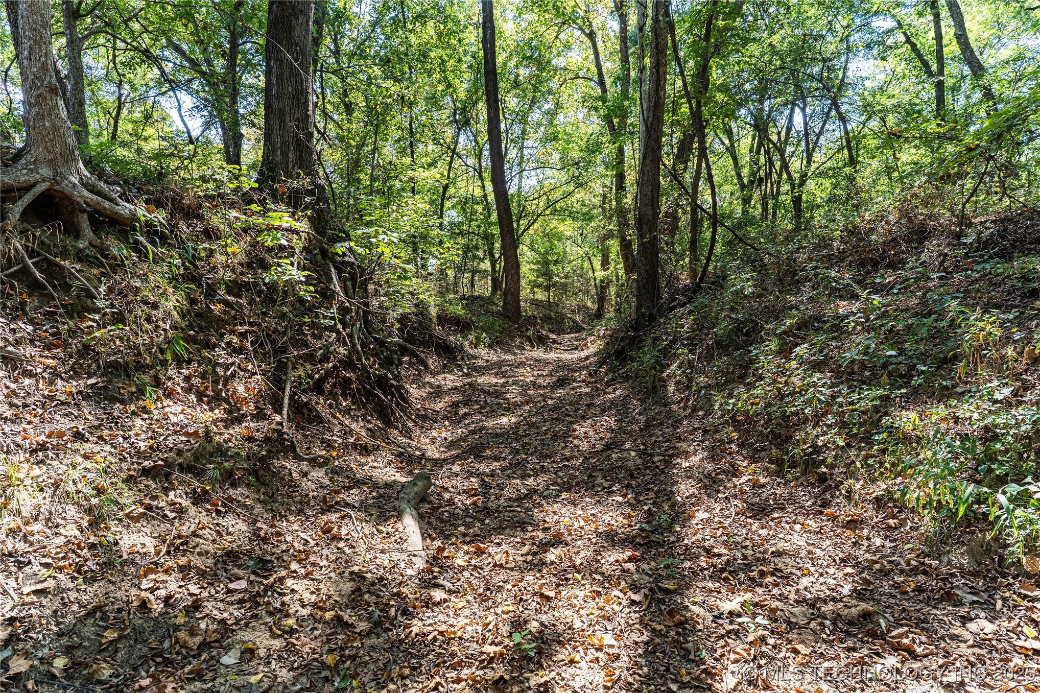0000 E 1420 Road Sasakwa OK 74867