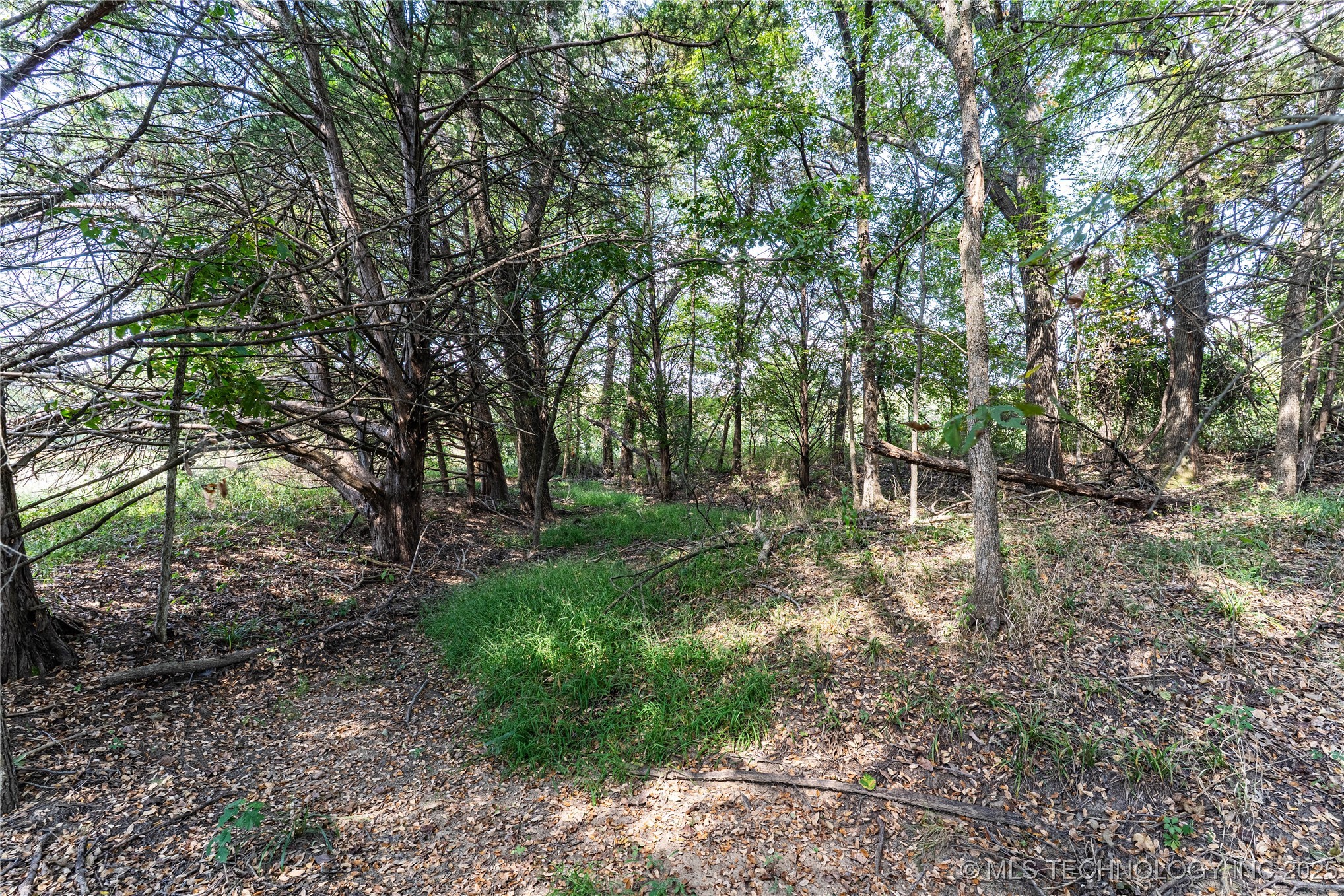 0000 E 1420 Road Sasakwa OK 74867