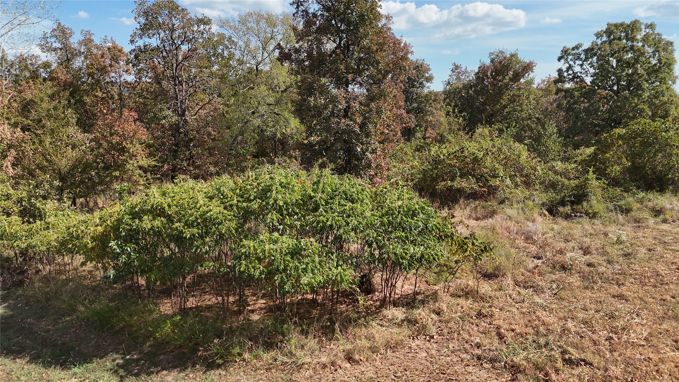 15813 W Redbud Road Park Hill OK 74451