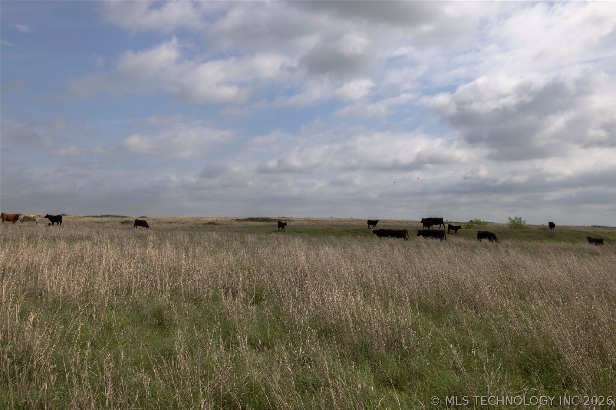 0002 S 336 Road Pawnee OK 73061