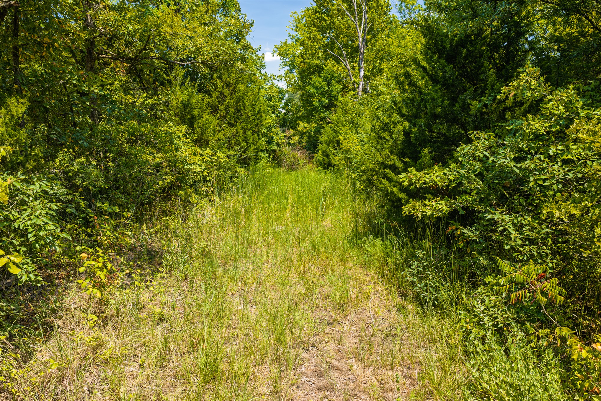 001 N 364 Road Wewoka OK 74884