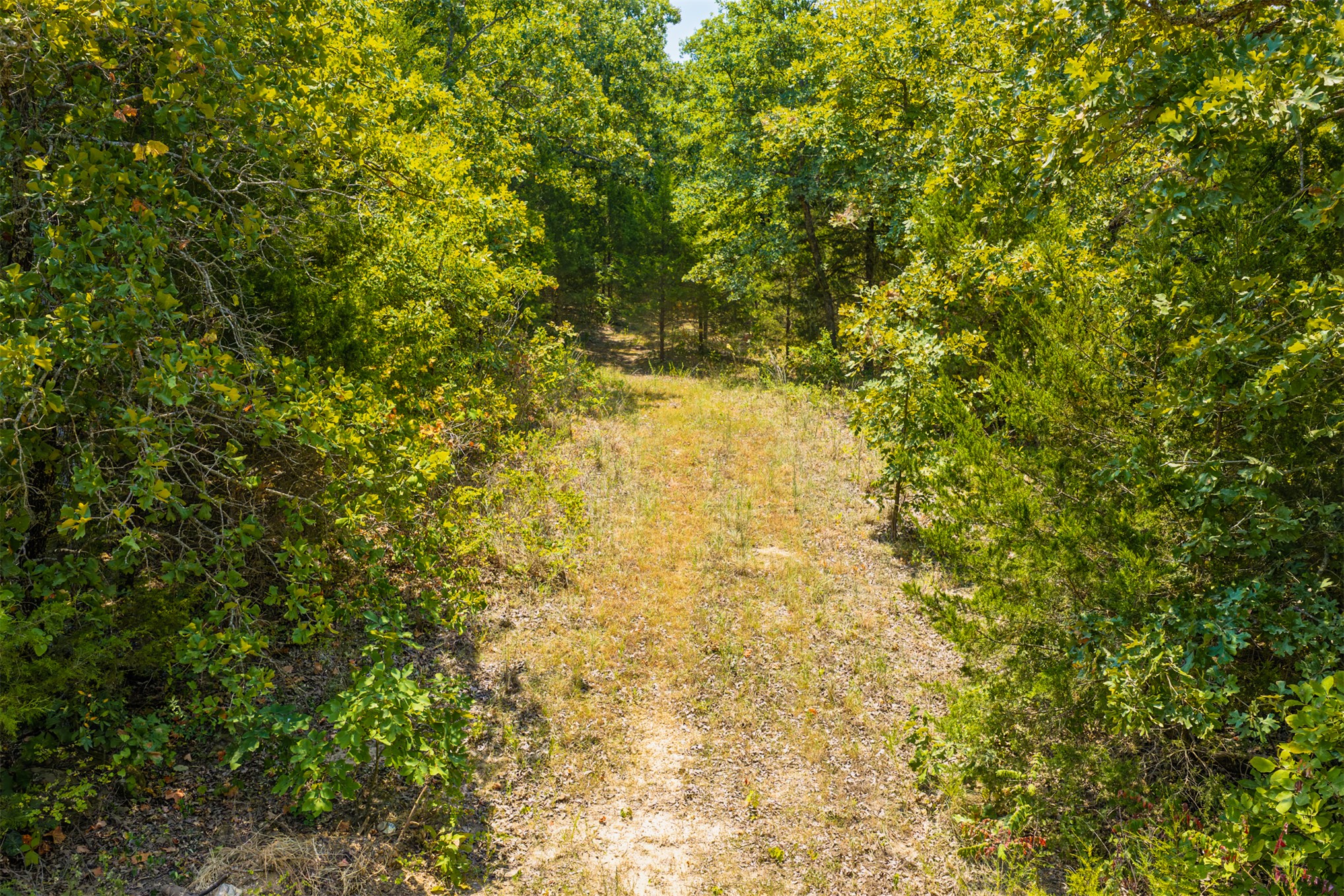 001 N 364 Road Wewoka OK 74884