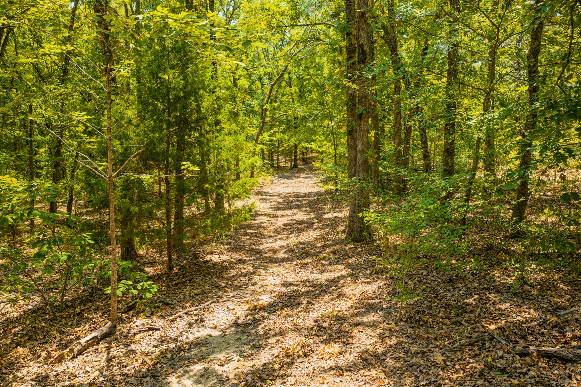001 N 364 Road Wewoka OK 74884