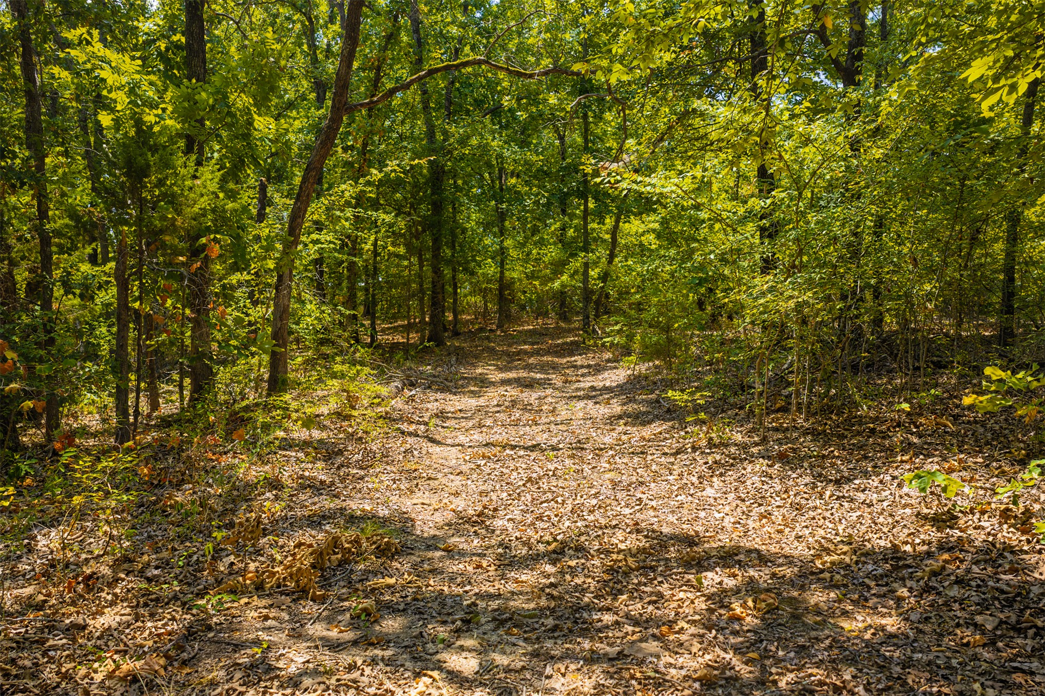 001 N 364 Road Wewoka OK 74884