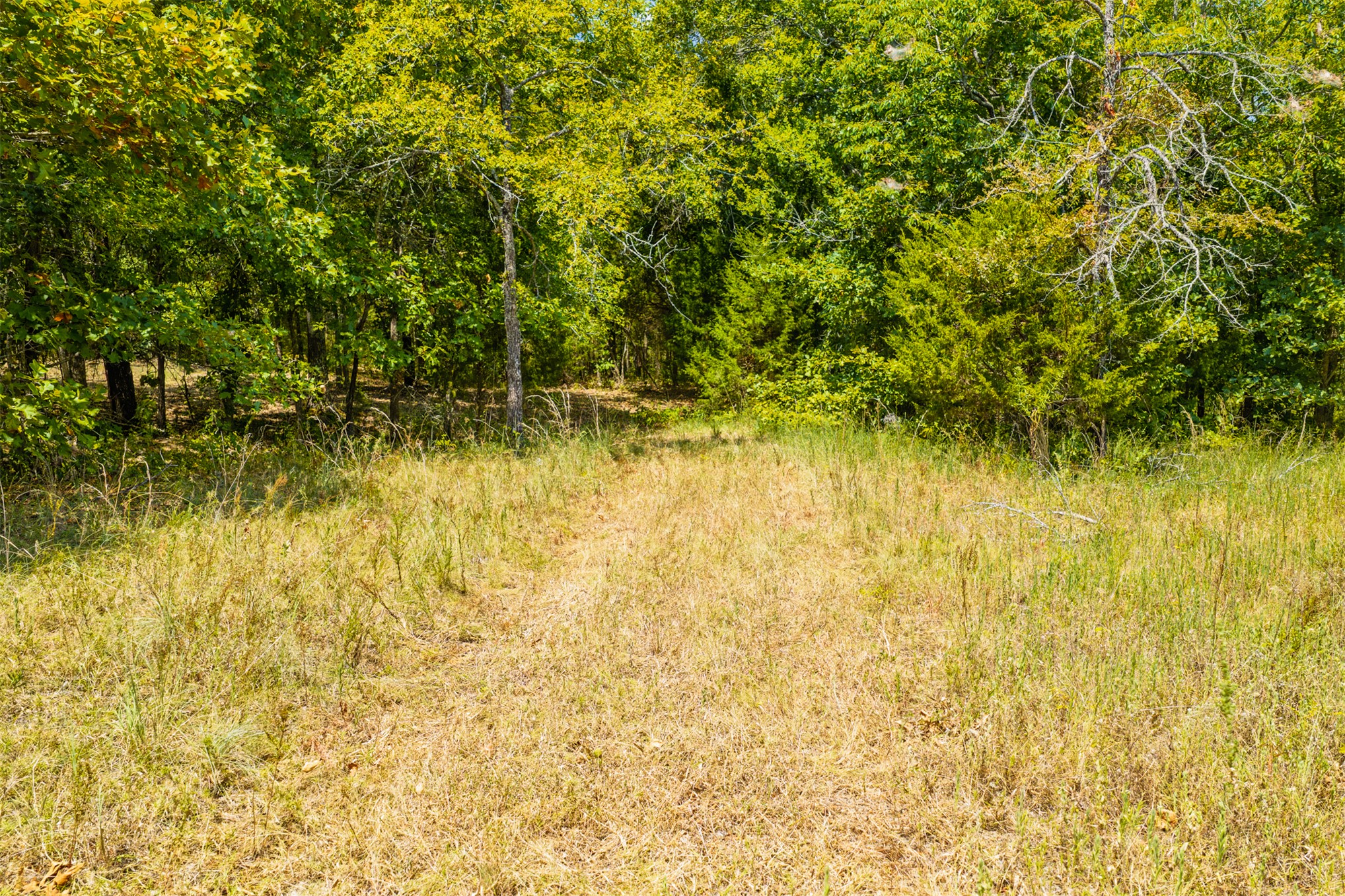 001 N 364 Road Wewoka OK 74884