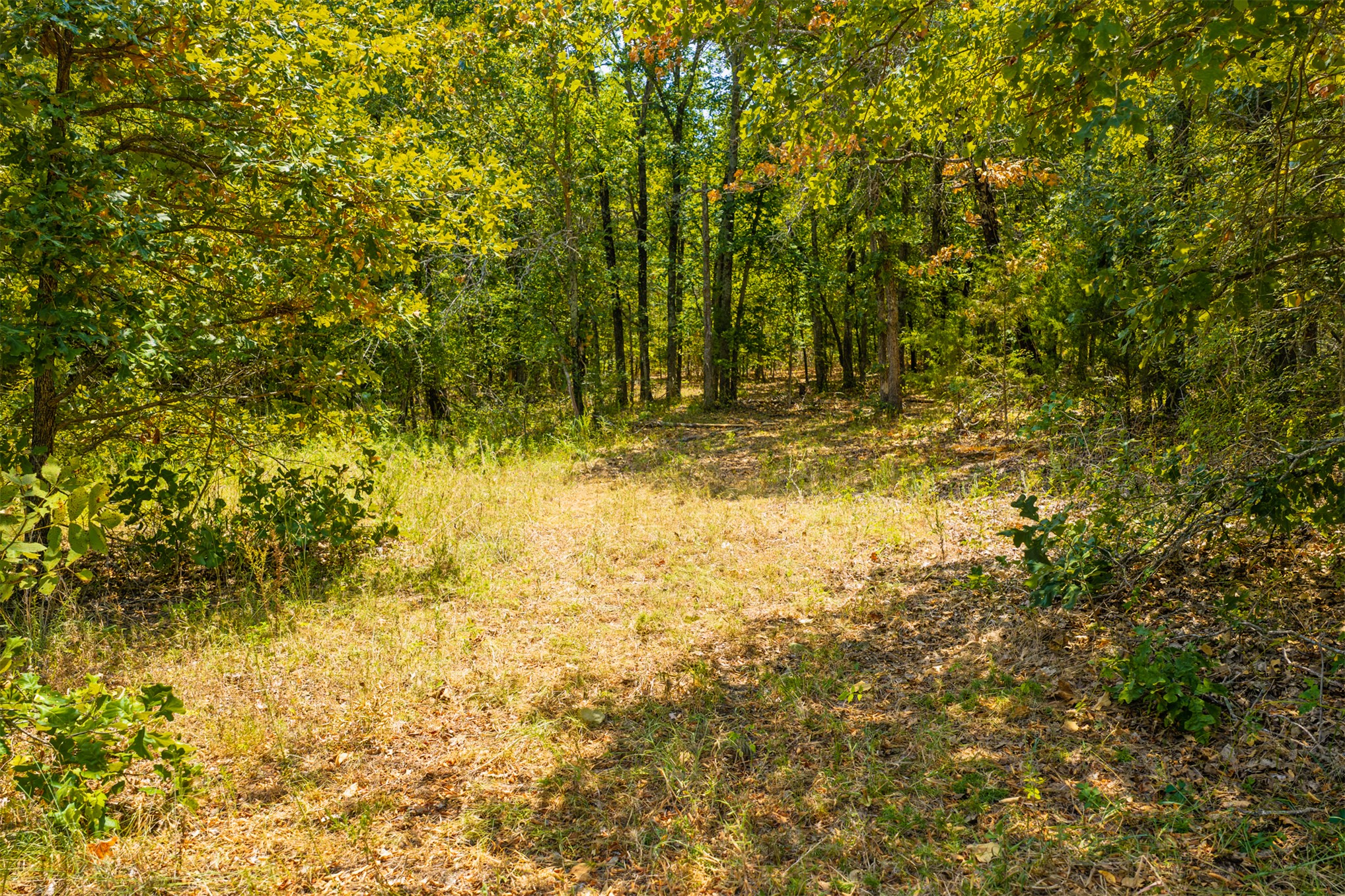 001 N 364 Road Wewoka OK 74884