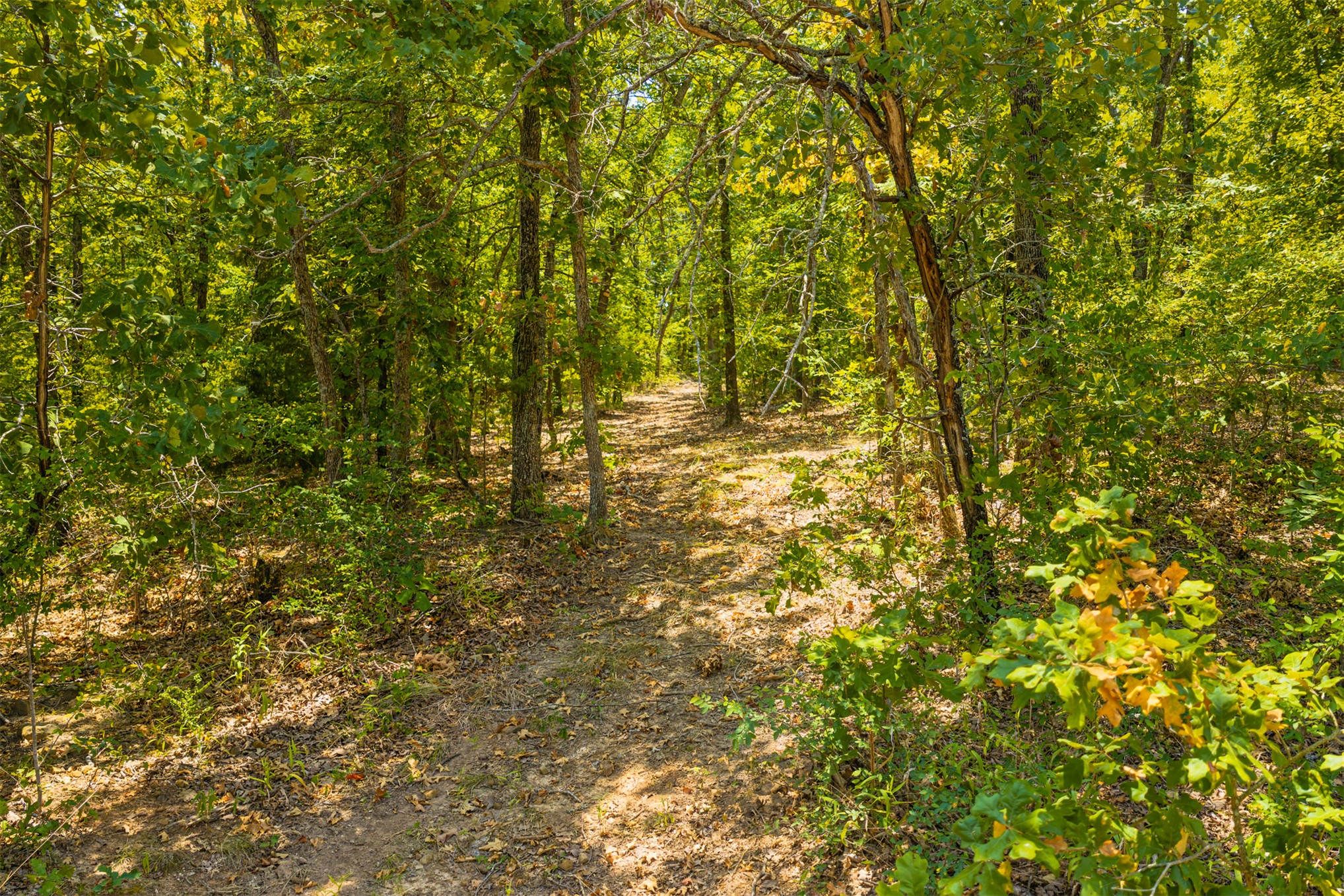 001 N 364 Road Wewoka OK 74884