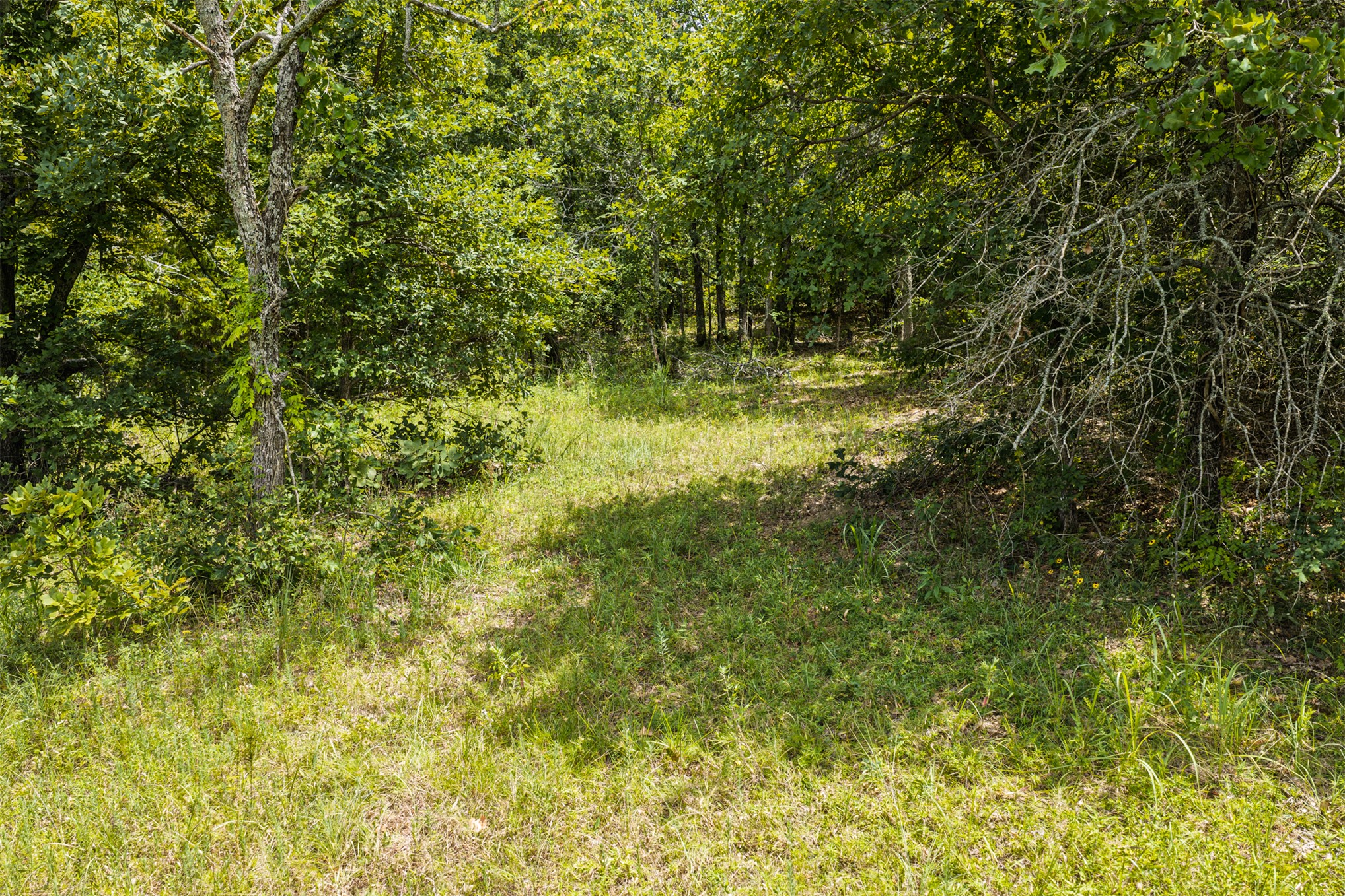 001 N 364 Road Wewoka OK 74884