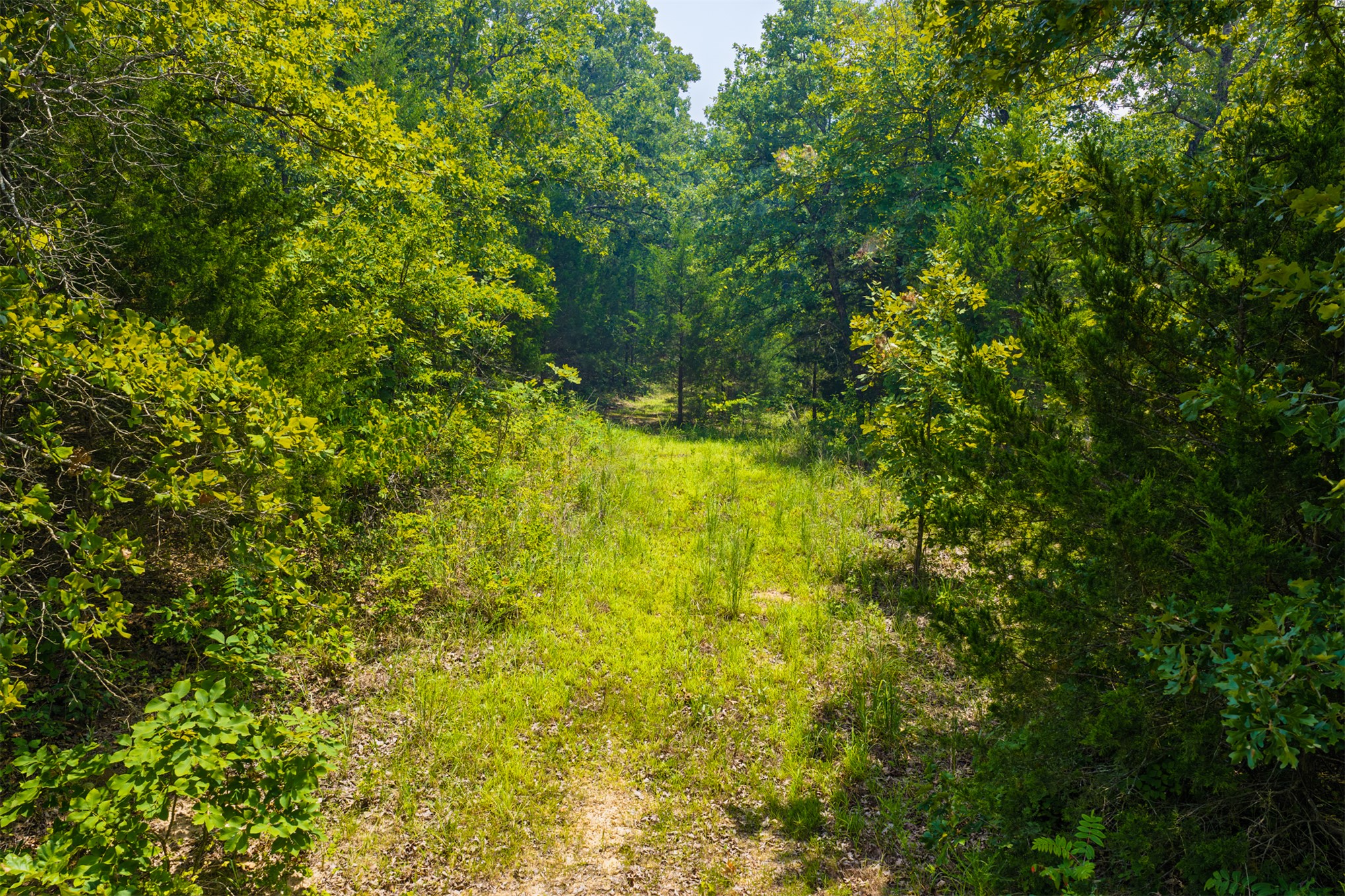 001 N 364 Road Wewoka OK 74884