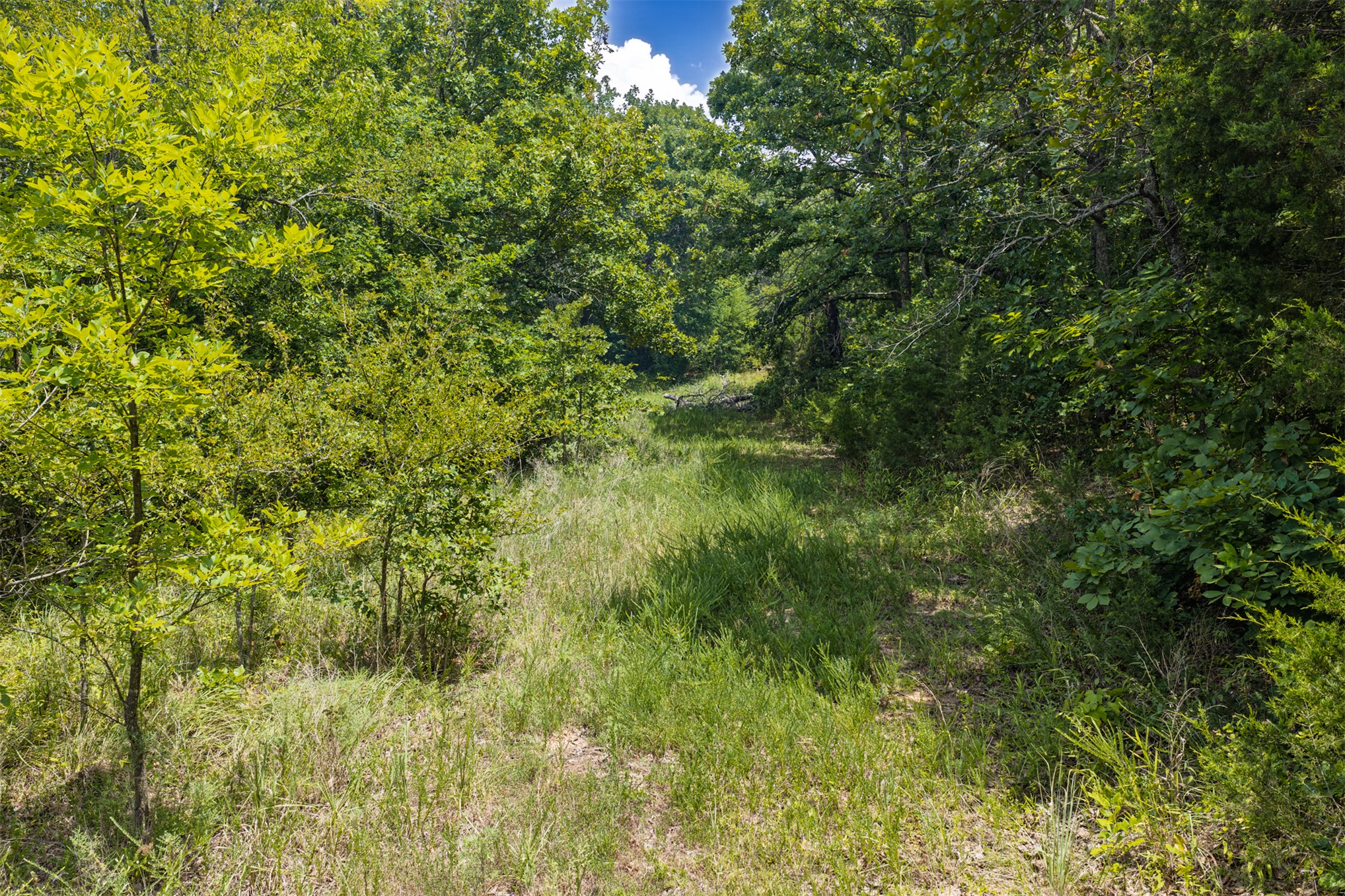 001 N 364 Road Wewoka OK 74884
