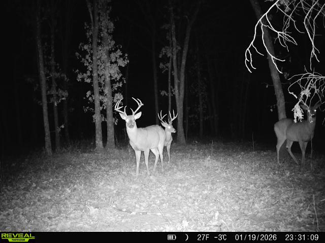 001 N 364 Road Wewoka OK 74884