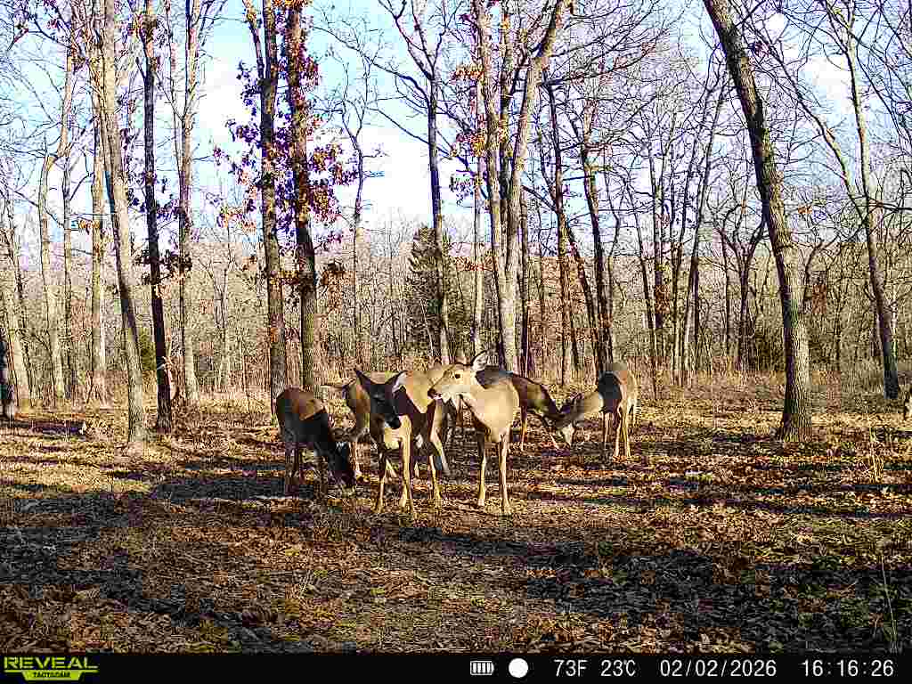001 N 364 Road Wewoka OK 74884