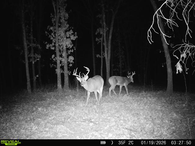 001 N 364 Road Wewoka OK 74884