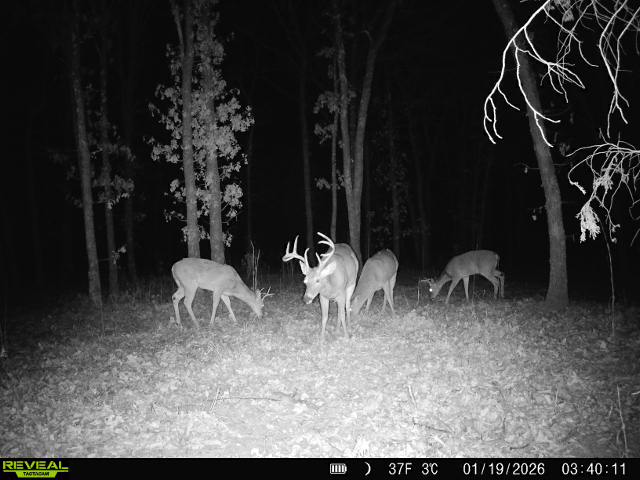 001 N 364 Road Wewoka OK 74884