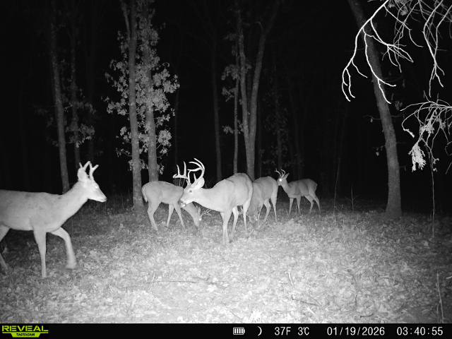 001 N 364 Road Wewoka OK 74884
