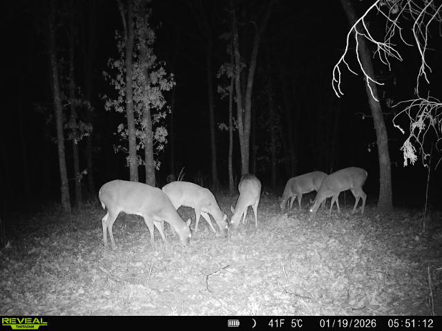 001 N 364 Road Wewoka OK 74884