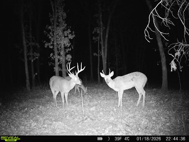 001 N 364 Road Wewoka OK 74884