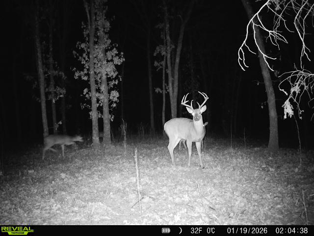 001 N 364 Road Wewoka OK 74884