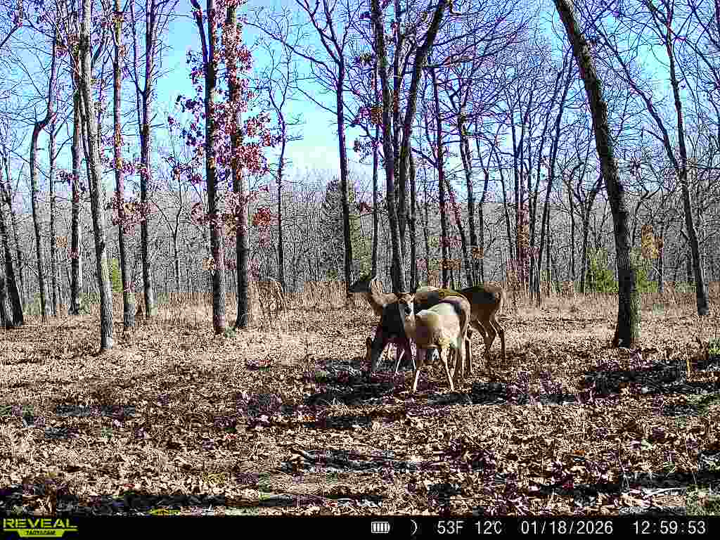 001 N 364 Road Wewoka OK 74884