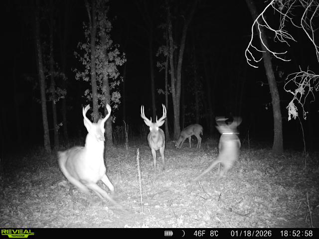 001 N 364 Road Wewoka OK 74884
