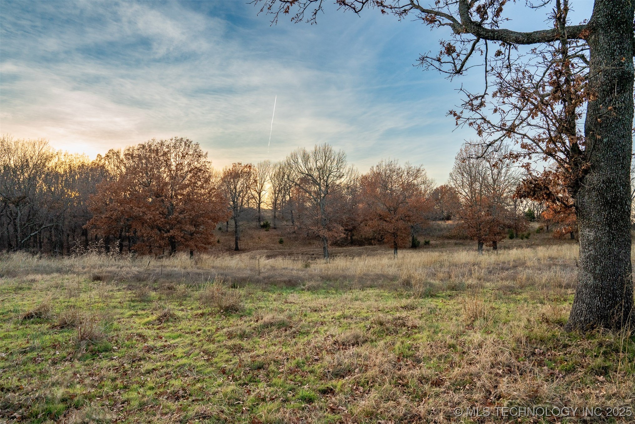 471 S 437 Locust Grove OK 74352