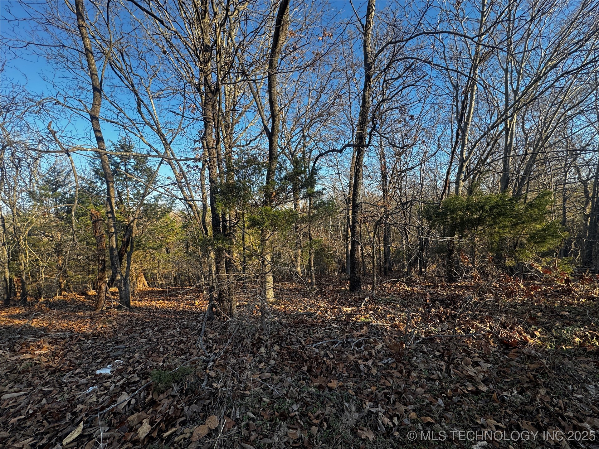 15077 Carlisle Drive Park Hill OK 74451