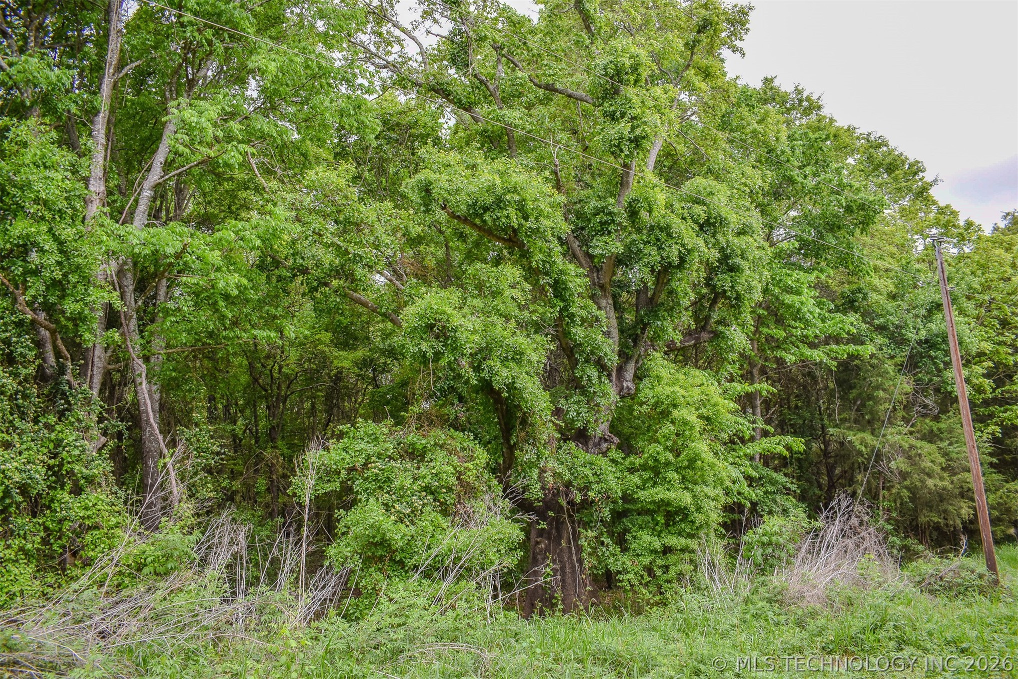 1 Fallon Road Hugo OK 74743