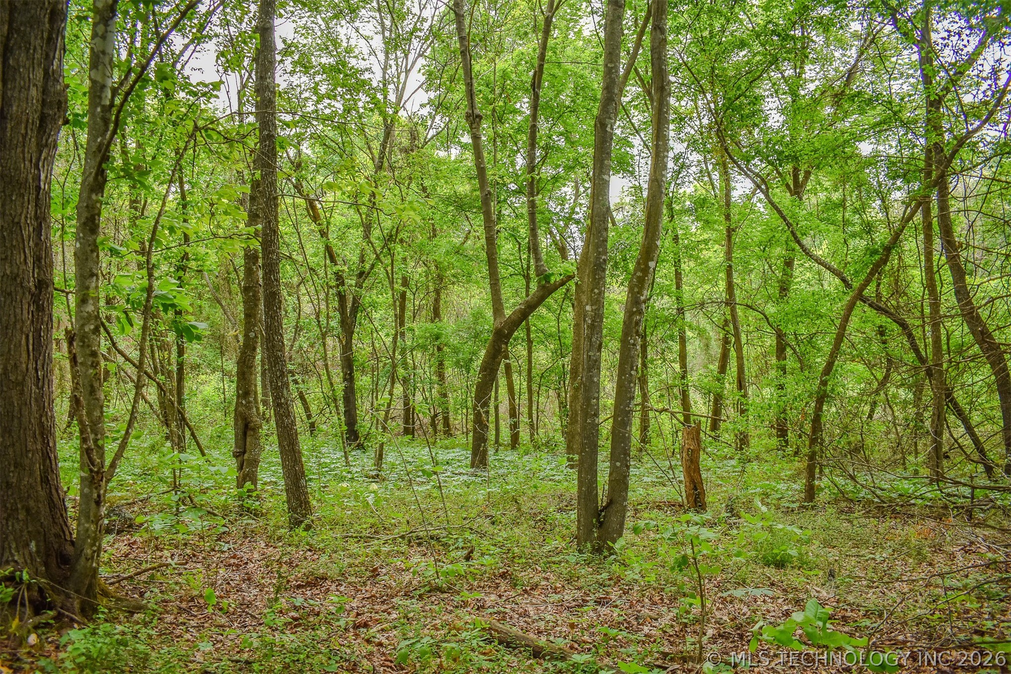 1 Fallon Road Hugo OK 74743