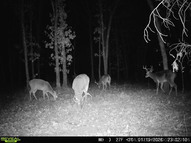 3 N 364 Road Wewoka OK 74884