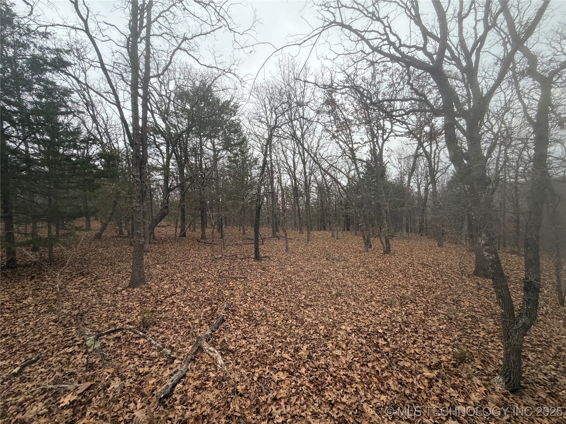 0001 County Road 1485 Allen OK 74825