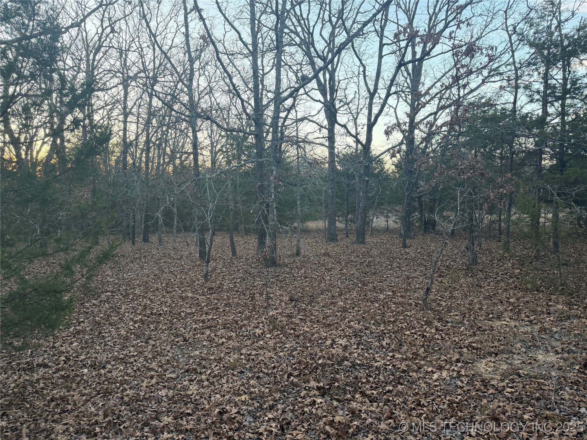 0001 County Road 1485 Allen OK 74825