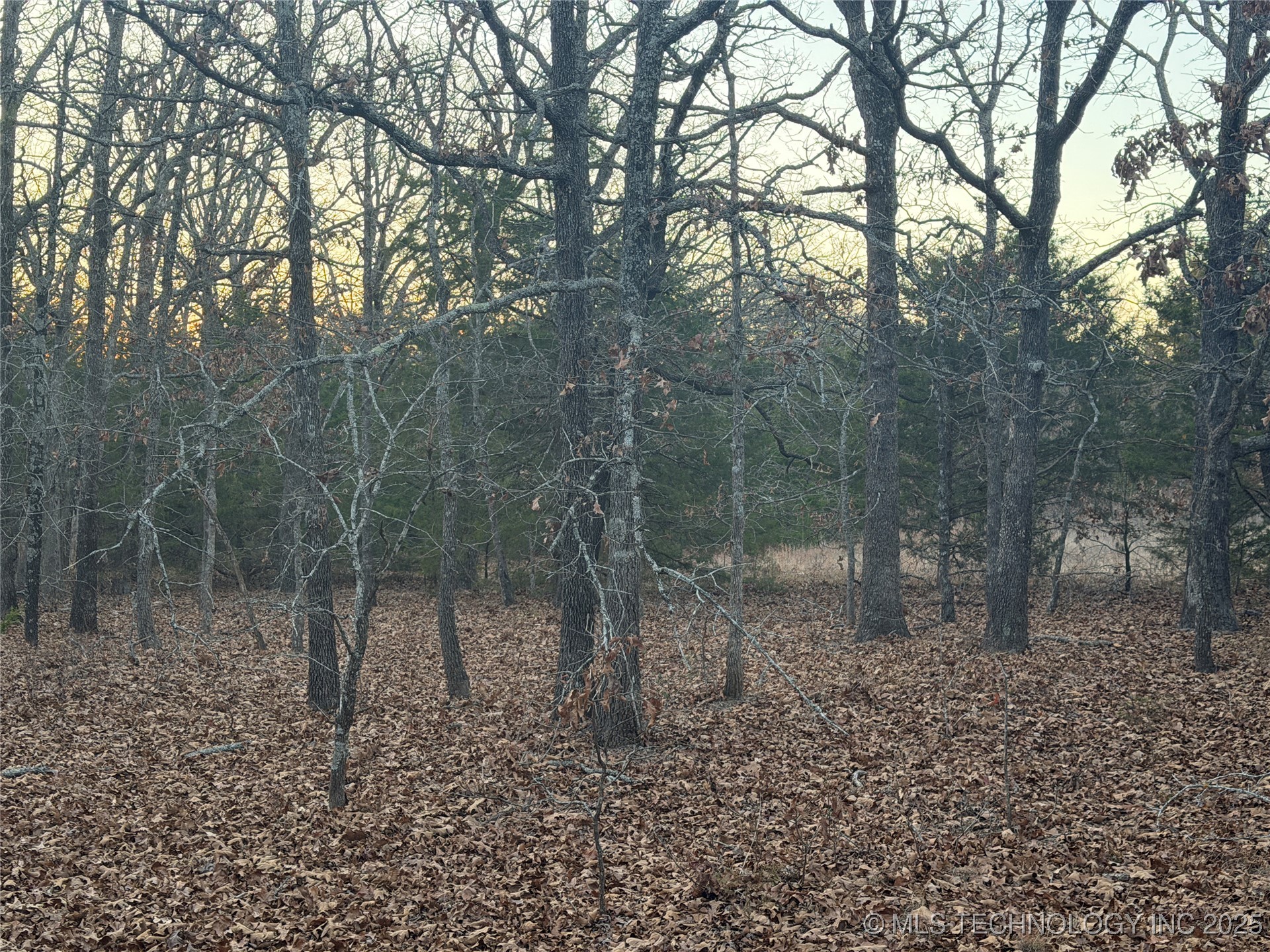 0001 County Road 1485 Allen OK 74825