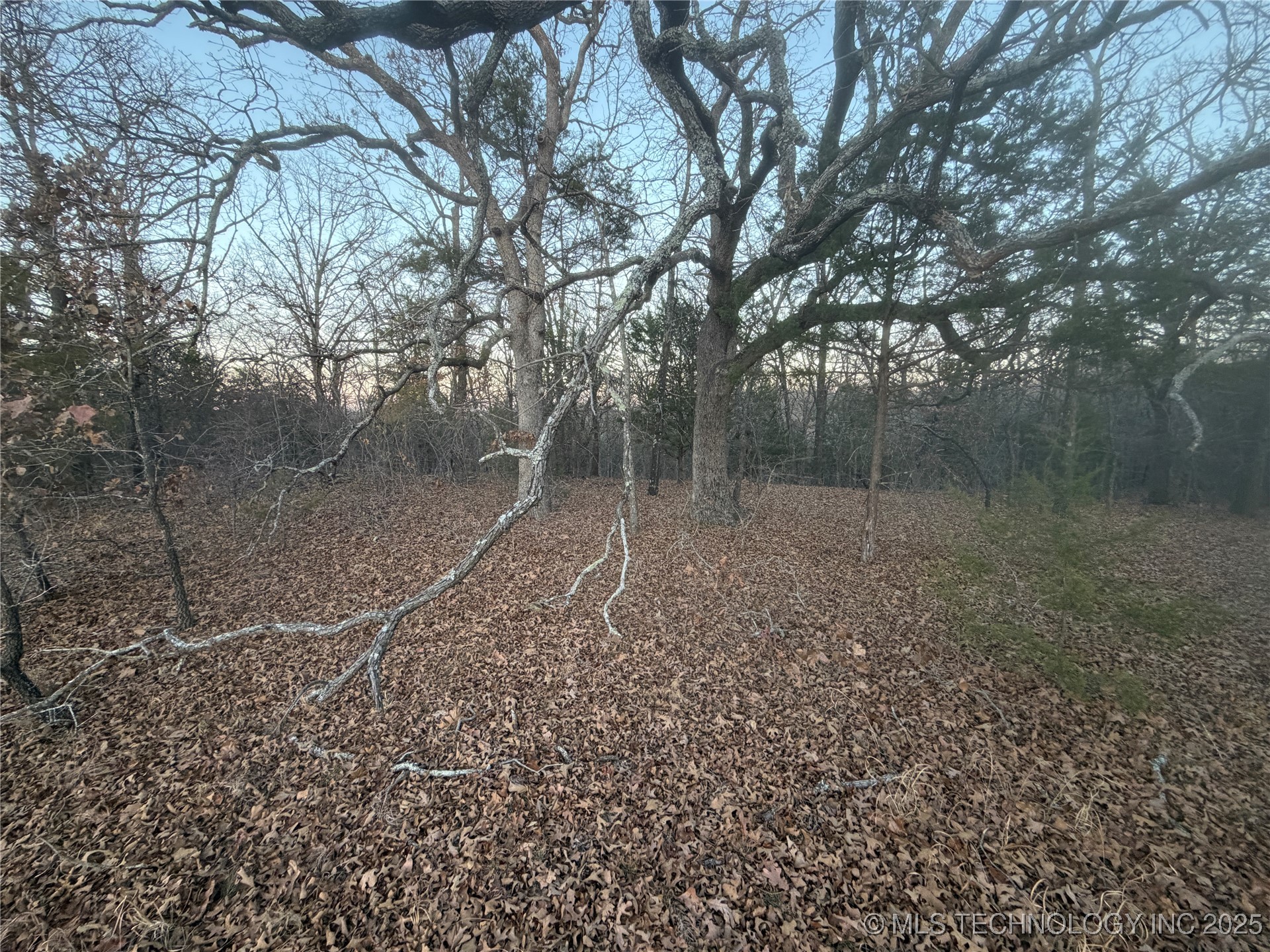 0001 County Road 1485 Allen OK 74825