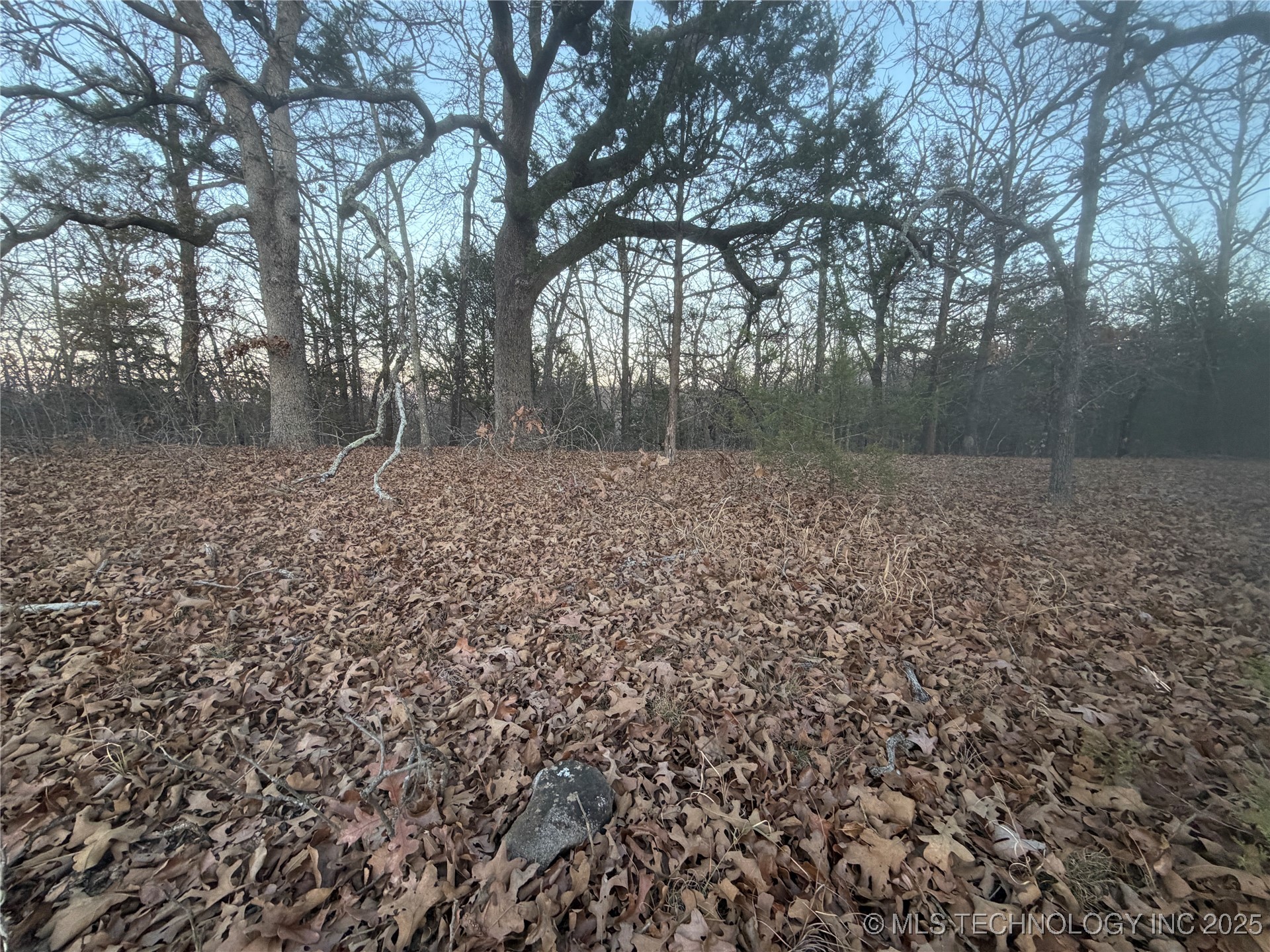 0001 County Road 1485 Allen OK 74825