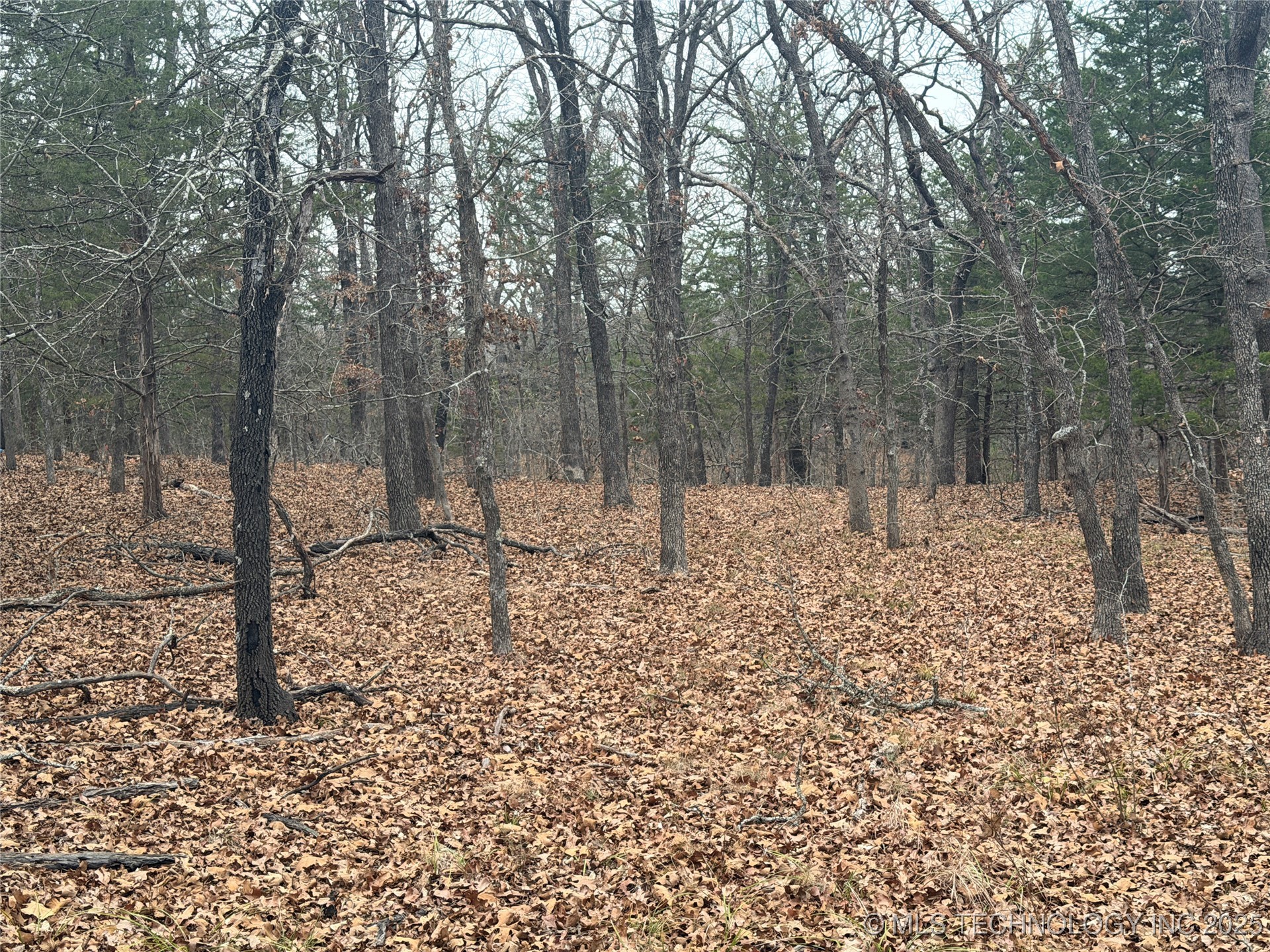 0001 County Road 1485 Allen OK 74825