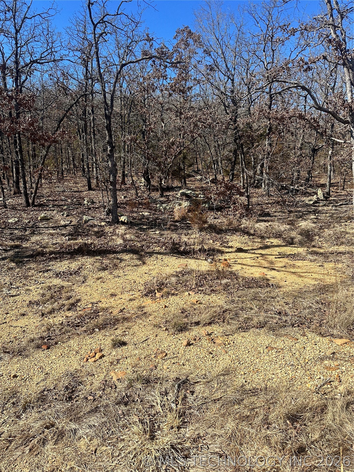 County Road 1560 Ada OK 74820