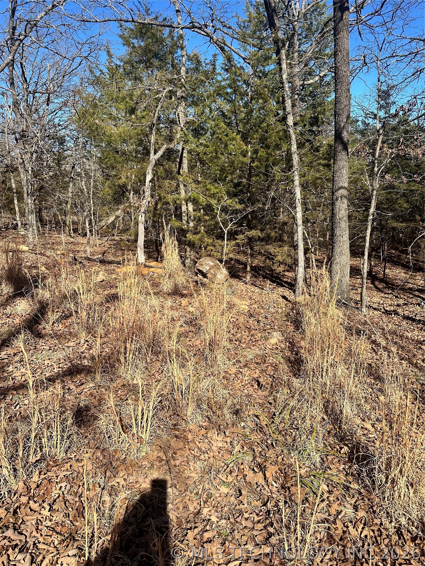 County Road 1560 Ada OK 74820
