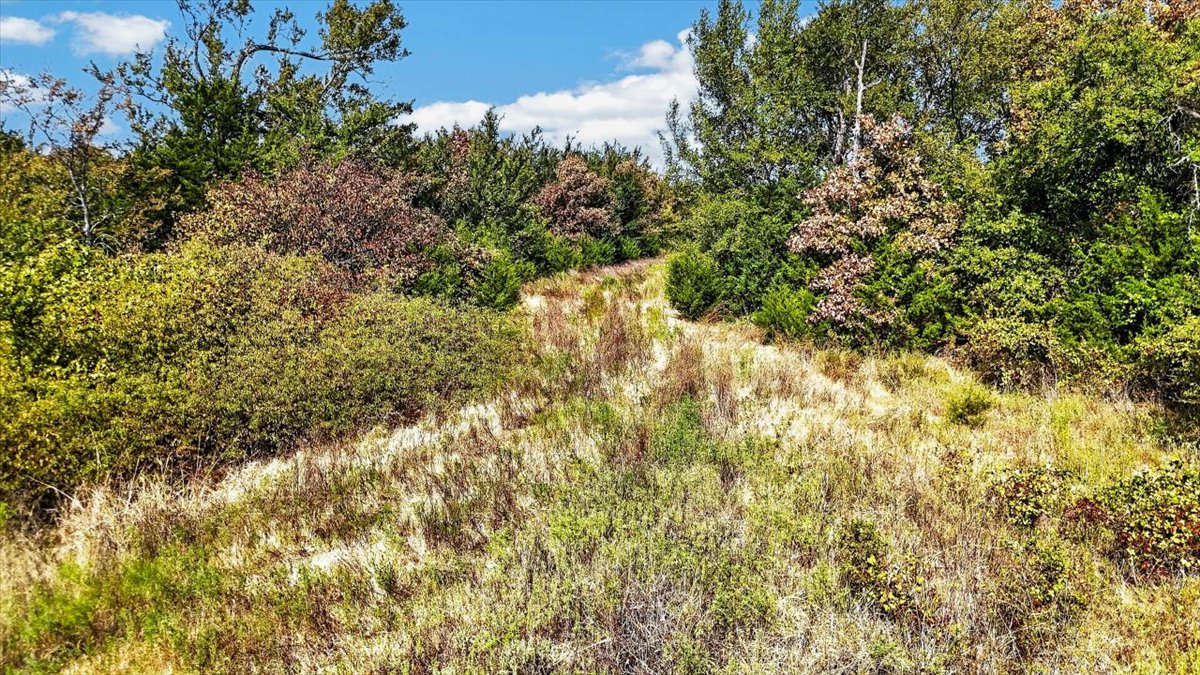 1 Double Springs Stuart OK 74570