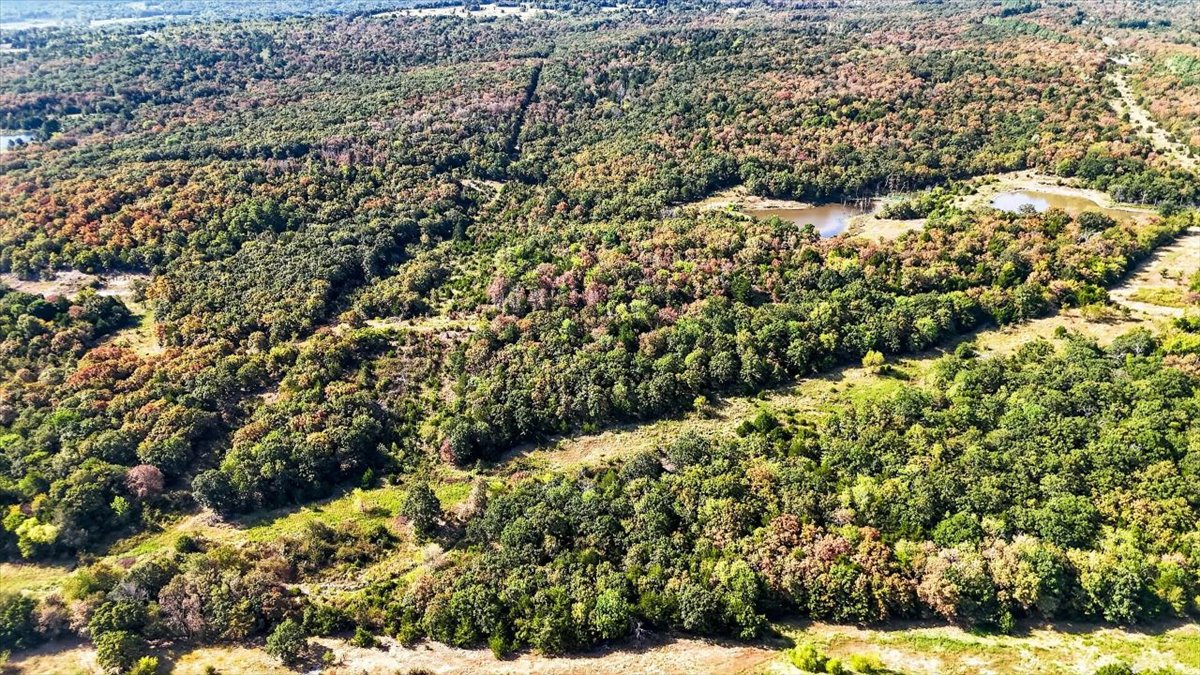 1 Double Springs Stuart OK 74570