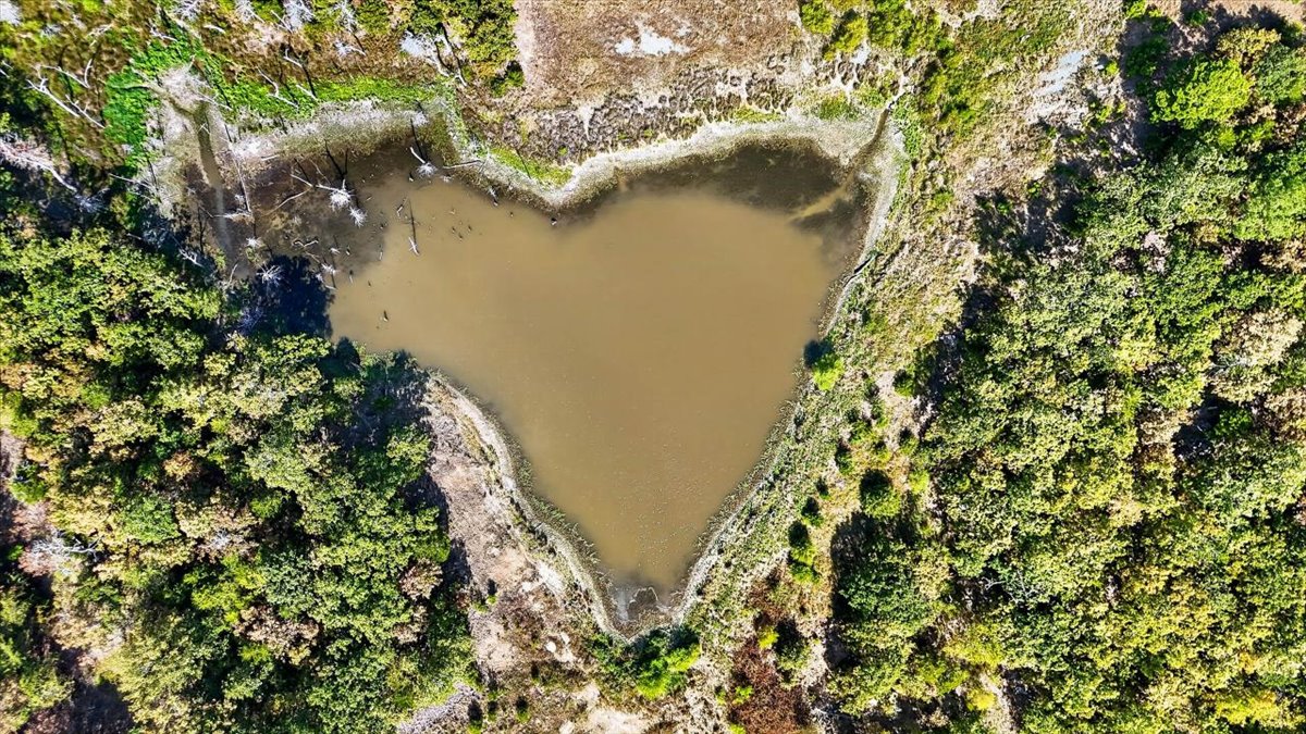 1 Double Springs Stuart OK 74570