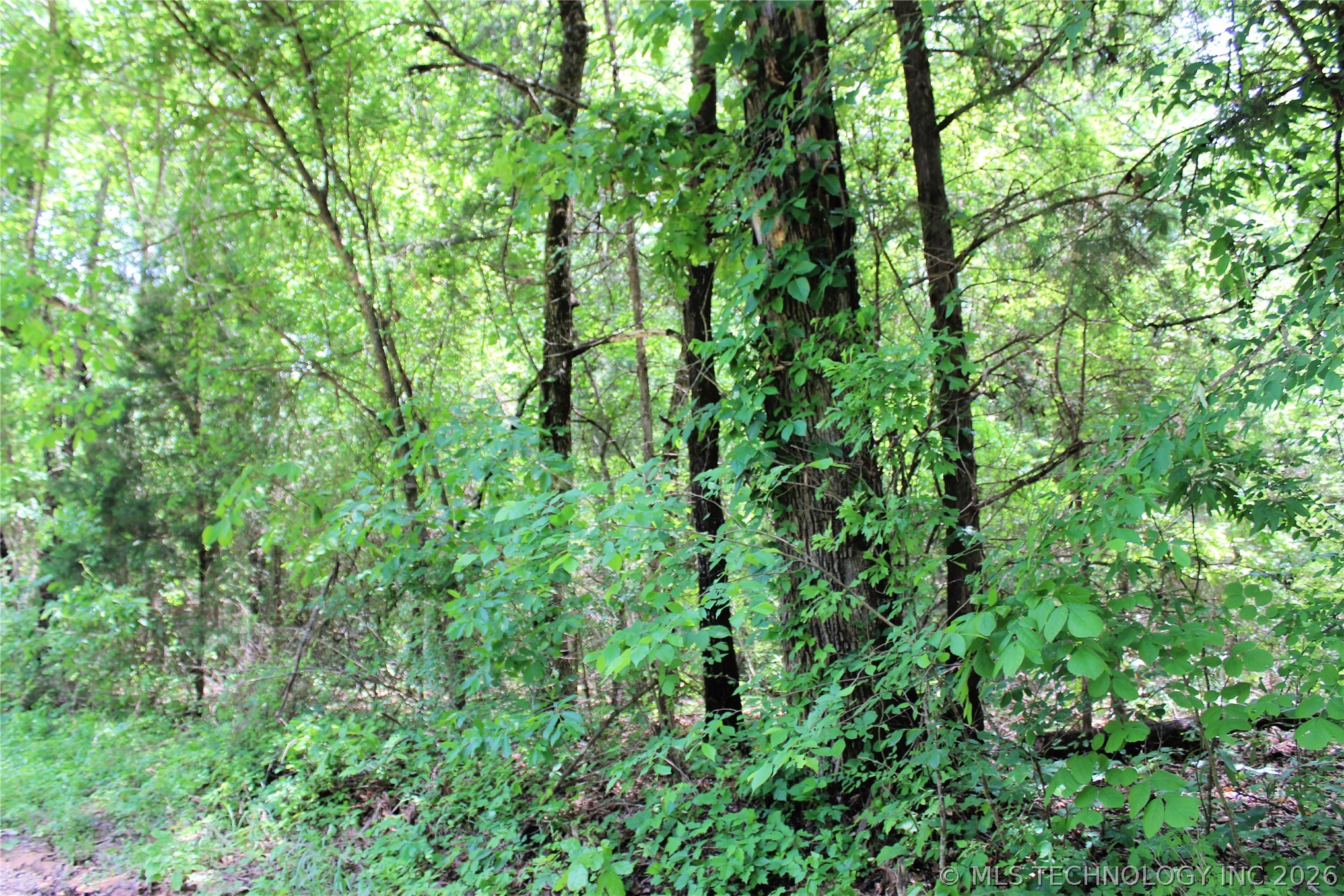 20 E 2100 Road Boswell OK 74727