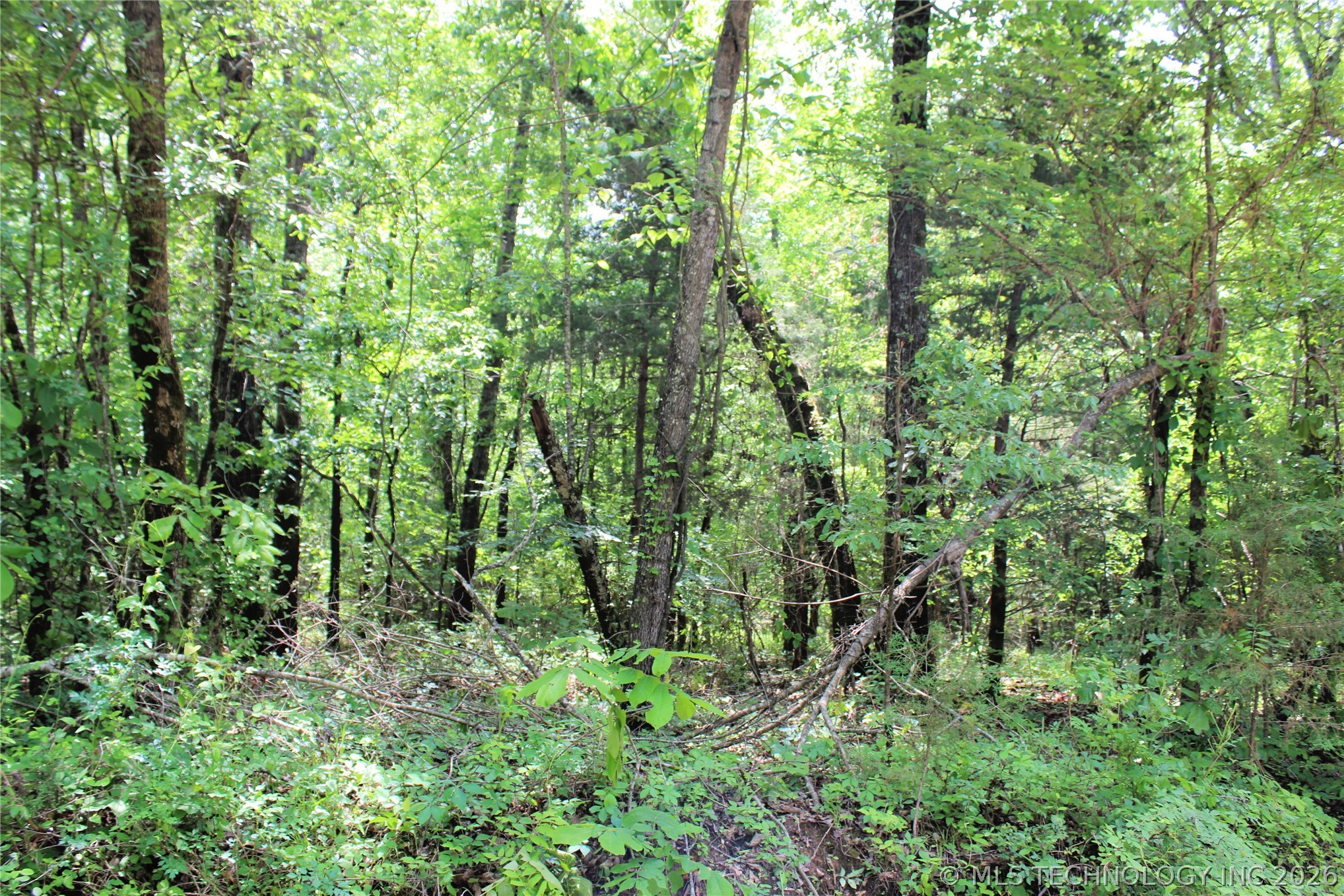 20 E 2100 Road Boswell OK 74727