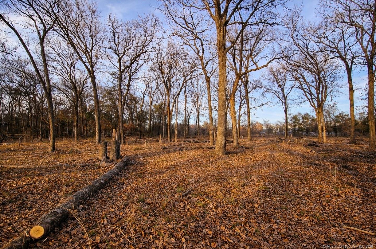 0 Cobb Road Kingston OK 73439
