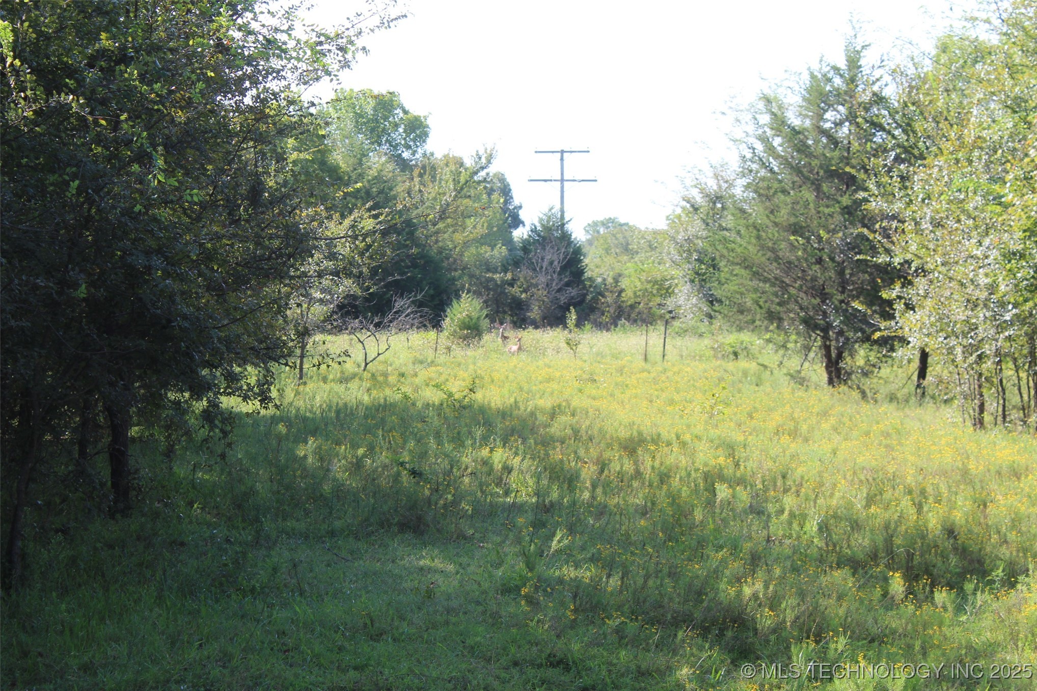 S 385th Avenue Bristow OK 74010