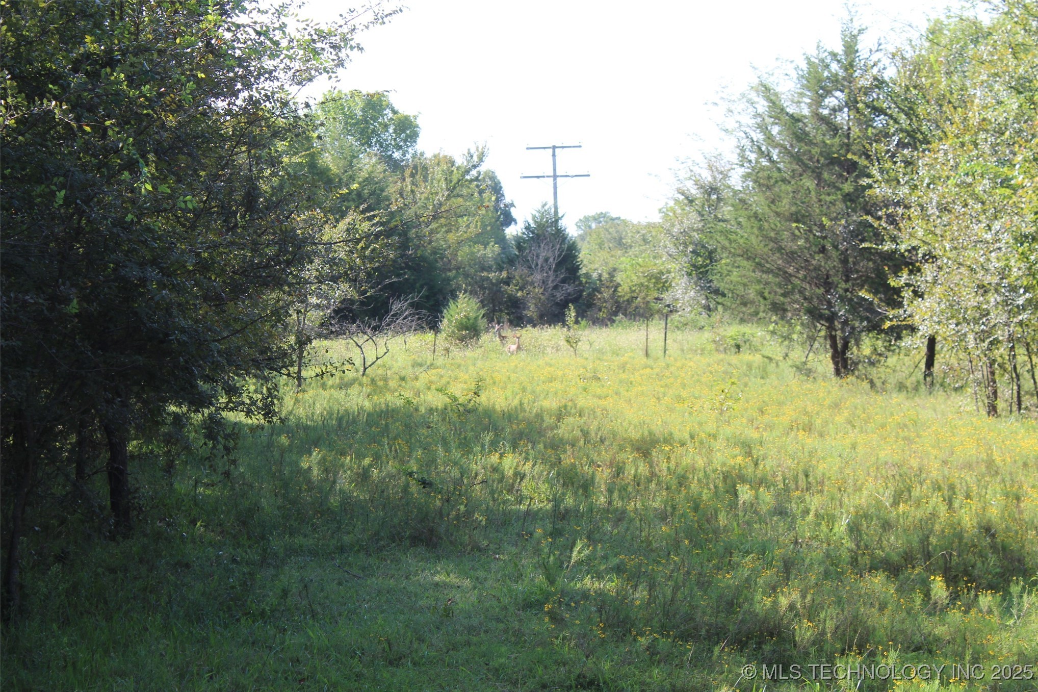 S 385th Avenue Bristow OK 74010