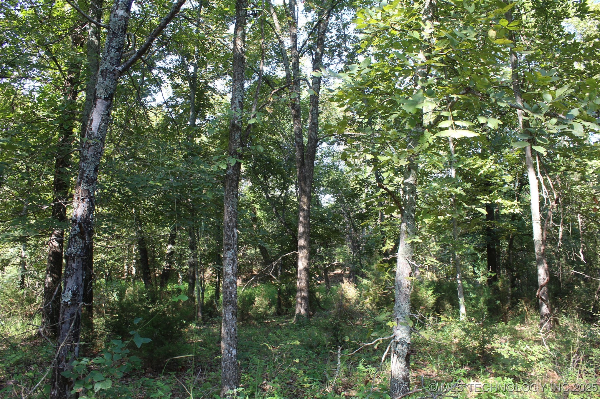 S 385th Avenue Bristow OK 74010